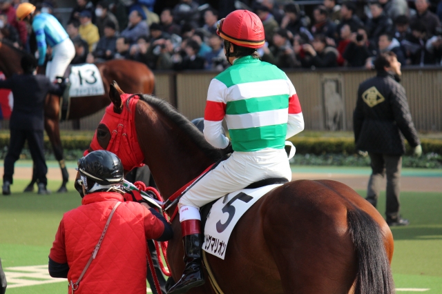 1/28(土)東京7R ダ1600m ピグマリオン