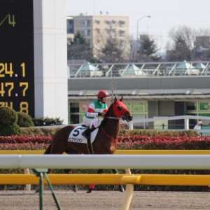 1/28(土)東京7R ダ1600m
