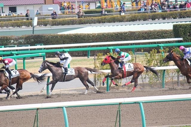 3/3(土)中山7R ダ1800m ピグマリオン