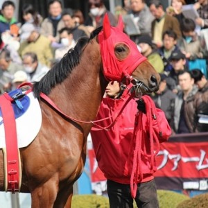 3/3(土)中山7R ダ1800m