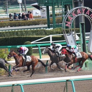 3/3(土)中山7R ダ1800m
