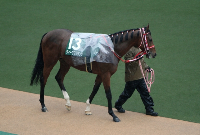 東京スポーツ杯2歳ステークス ディープブリランテ