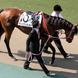 2012年5月27日　日本ダービー