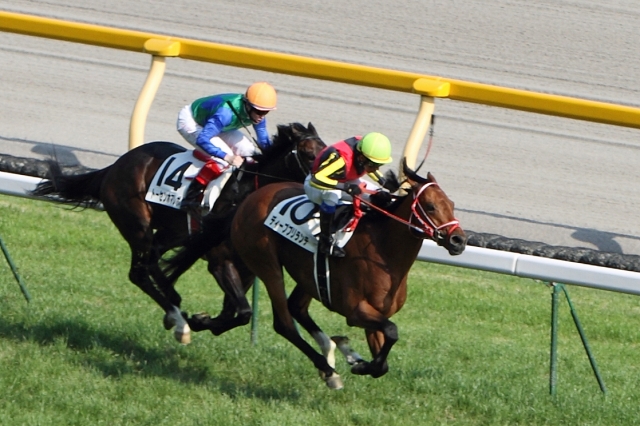 2012年5月27日　日本ダービー ディープブリランテ