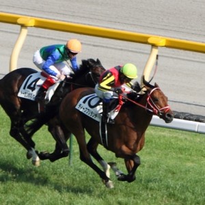 2012年5月27日　日本ダービー