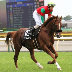 2013/06/08　稲城特別