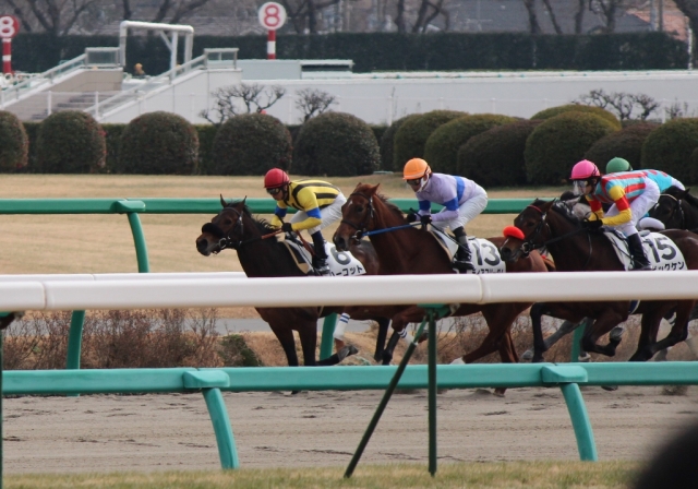 デビュー戦　この後先頭に！ ハーコット