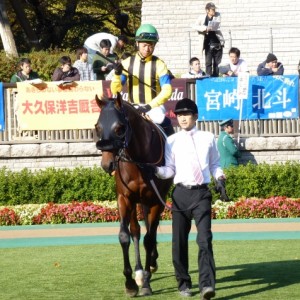 11/17東京1000万下パドック