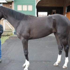 １歳時　ＮＦ空港にて