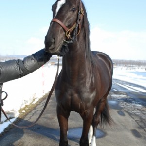 ２歳時　ＮＦ空港にて