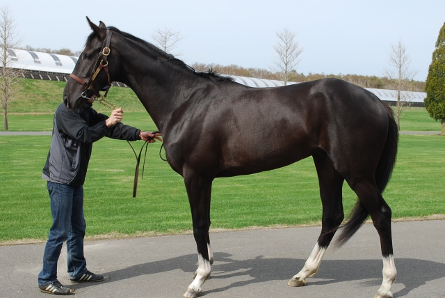 ２歳時　ＮＦ空港にて プレザントライフ