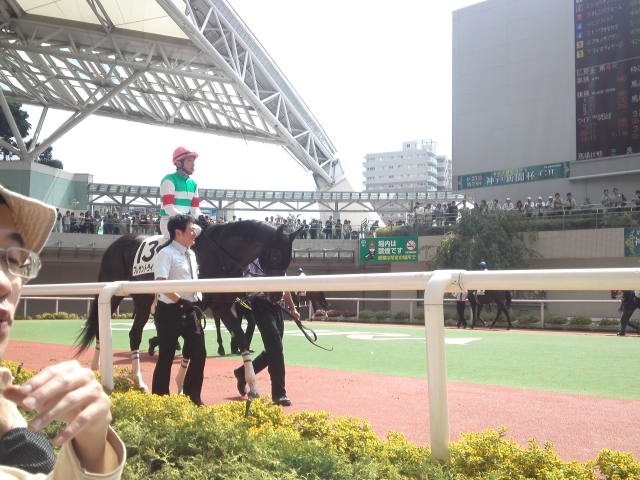 プレザントライフ_2011年9月25日新馬戦 プレザントライフ