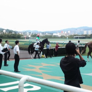 プレザントライフ_2011年9月25日新馬戦