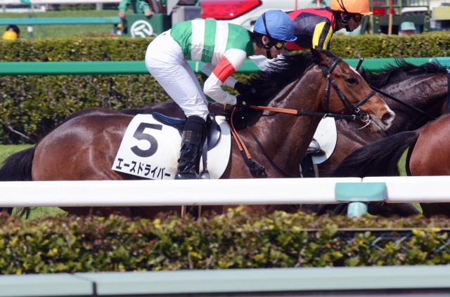 ４歳上障害未勝利 エースドライバー