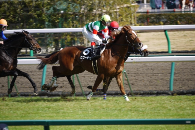 3月24日　中京競馬場 クローチェ