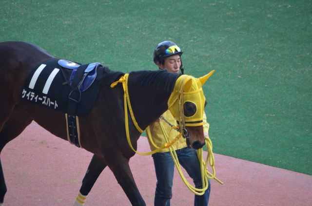 早鞆特別パドック ケイティーズハート