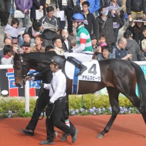 新馬戦パドック