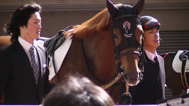20111204新馬戦パドック ジェラルド