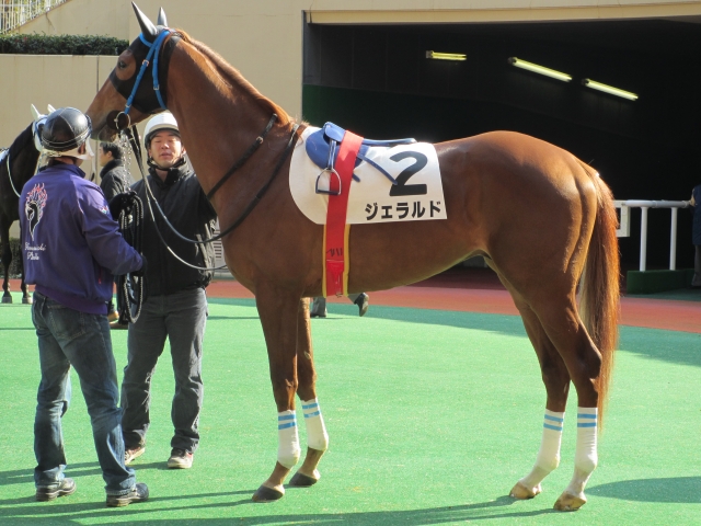 ３歳未勝利　Ｈ２４．２．１２ ジェラルド