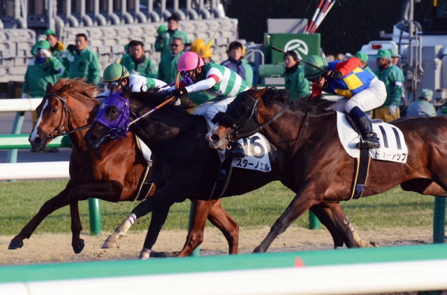 4歳上1000万下 スターノエル