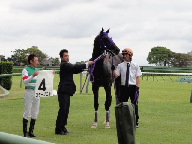 2012.9.29　中山3R　3歳未勝利　ウィナーズサークル スターノエル