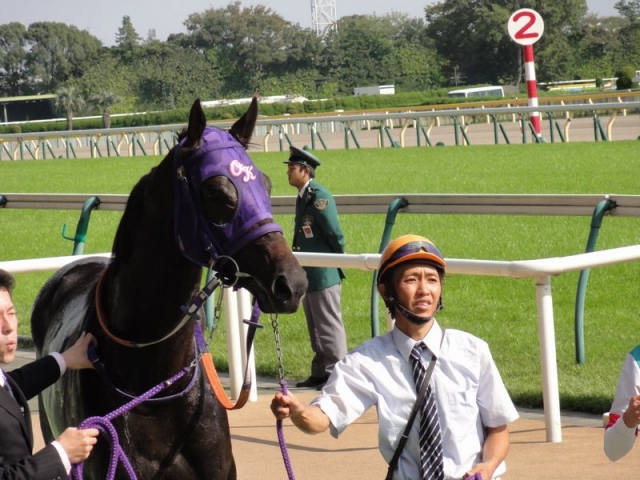 10/12　3歳上500万下ウィナースサークル スターノエル