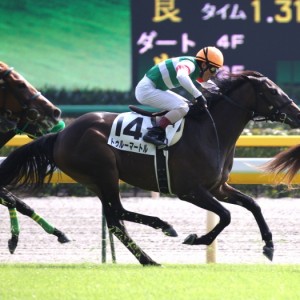 2011年10月8日 東京5R 新馬戦