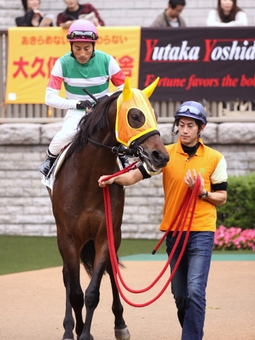 2011年11月6日 東京1R  トゥルーマートル