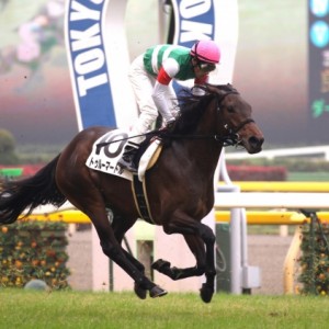2011年11月6日 東京1R 