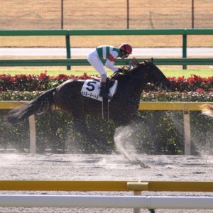 2011年11月26日 東京1R ダート1600