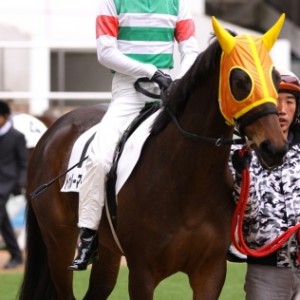 2012年1月21日 中山競馬場 第2R