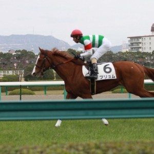 阪神未勝利1400（芝）