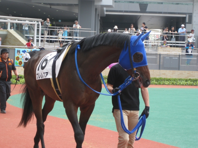 3歳未勝利 プレレフア