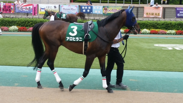 2016/6/25 東京ジャンプS(JG3) アロヒラニ