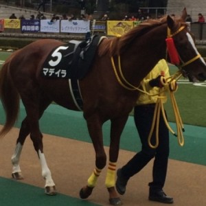 白富士ステークス