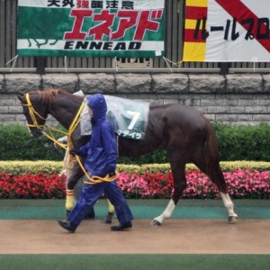 東京スポーツ杯2歳ステークス