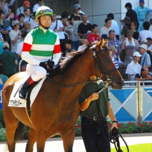 新馬戦パドック