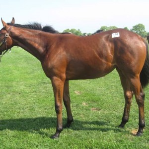 見学ツアーにて