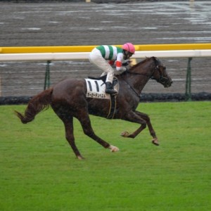 2011年10月22日　東京競馬場　未勝利戦