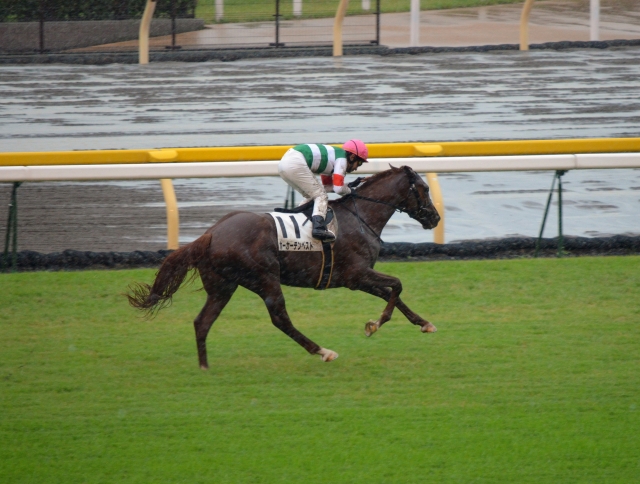 2011年10月22日　東京競馬場　未勝利戦 ホーカーテンペスト