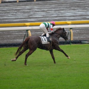 2011年10月22日　東京競馬場　未勝利戦