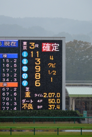 2011年10月22日　東京競馬場　未勝利戦 ホーカーテンペスト