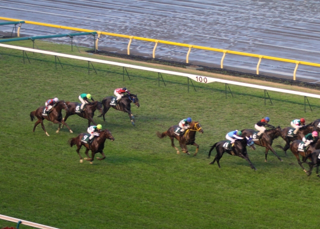 2011年11月19日　東京スポーツ杯2歳ステークス ホーカーテンペスト