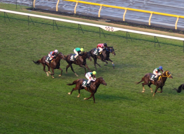 2011年11月19日　東京スポーツ杯2歳ステークス ホーカーテンペスト