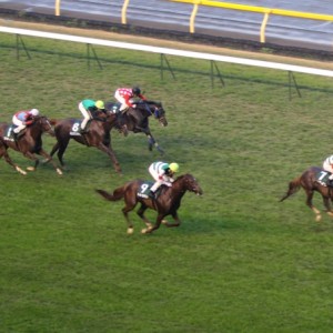 2011年11月19日　東京スポーツ杯2歳ステークス