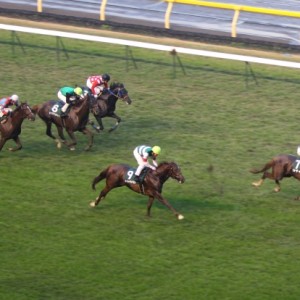 2011年11月19日　東京スポーツ杯2歳ステークス