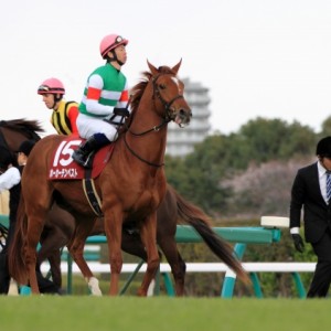 2012年4月7日　ニュージーランドトロフィー