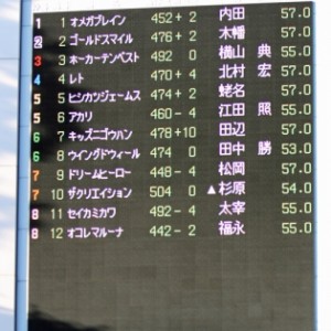 2012年10月20日　1000万下
