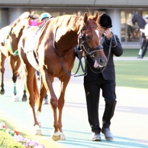 2012年10月20日　1000万下
