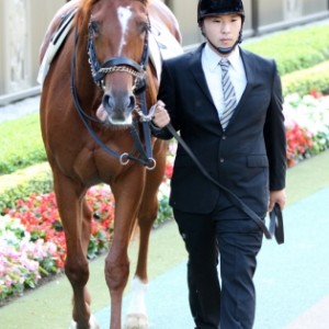 2012年10月20日　1000万下